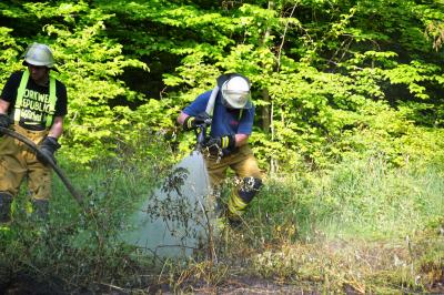 Esslingen-Liebersbronn: Beim Grillplatz an der Jaegerstrasse brannte der Wald